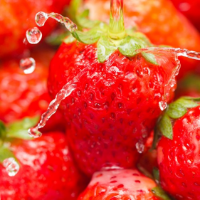 Fresh Food, Fresh Ideas