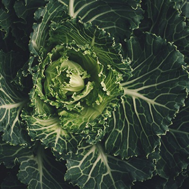 UK Fresh Food Rationing: The Tip Of The Iceberg (Lettuce)?