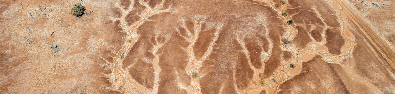 From Climate Risk To Opportunity