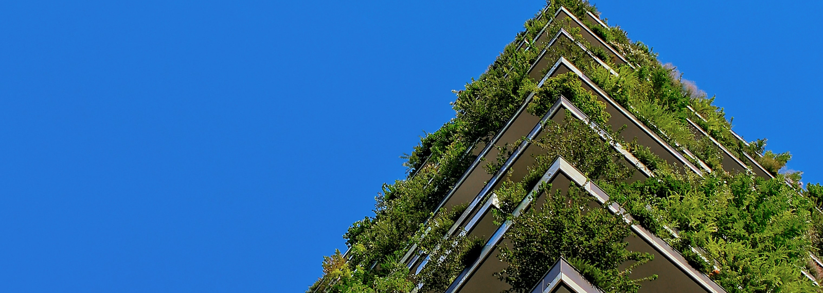 Powering The Net-Zero Economy