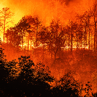 Climate Change: It's Business That Needs to Act