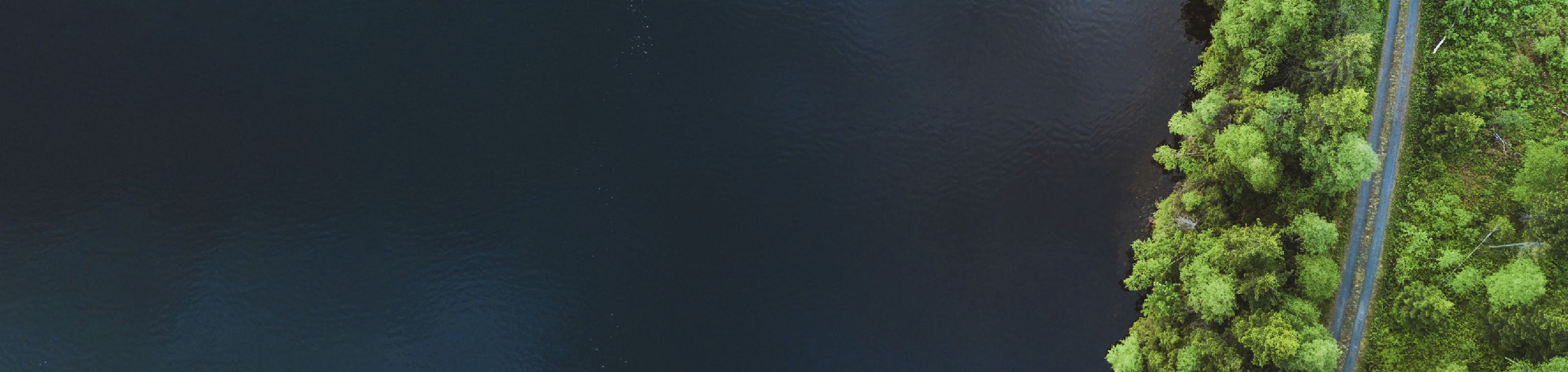 Towards A Global Baseline For Net-zero Transition Planning