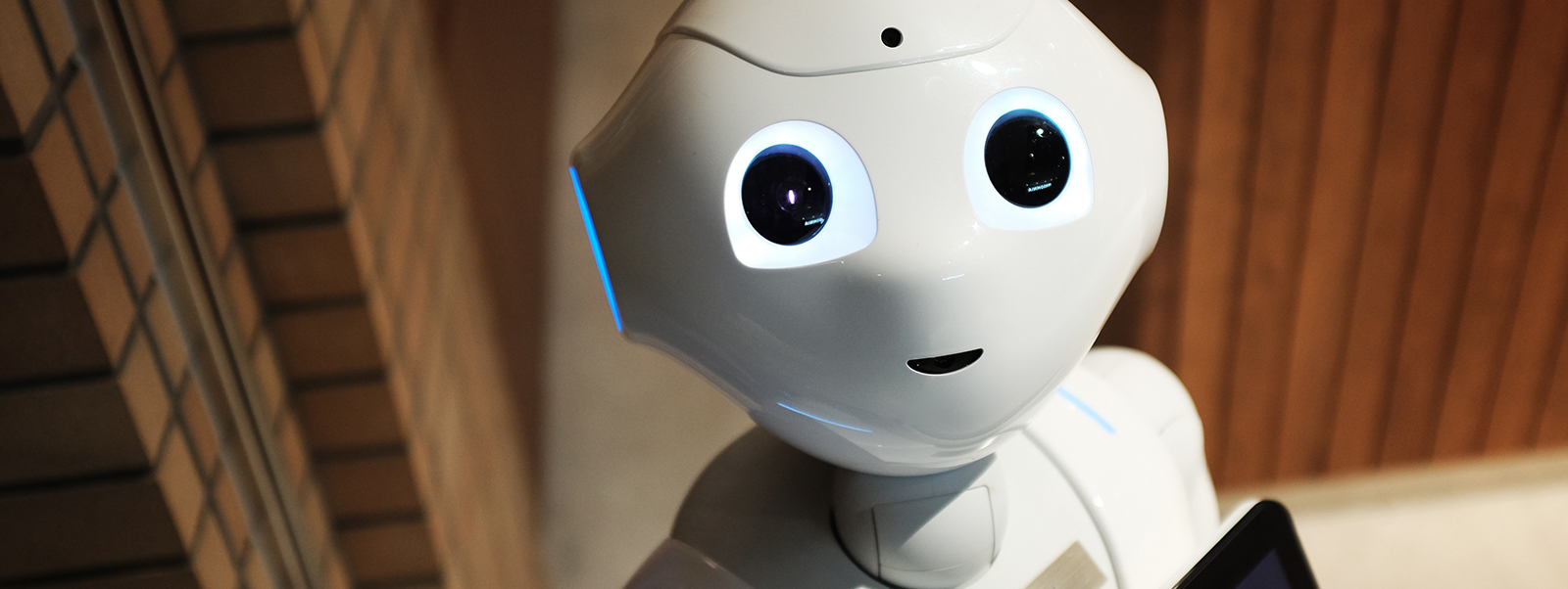 The Advance Of AI Is Uncertain. But That Doesn’t Mean We Can’t Prepare For It