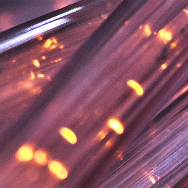 Global Risks Report 2021