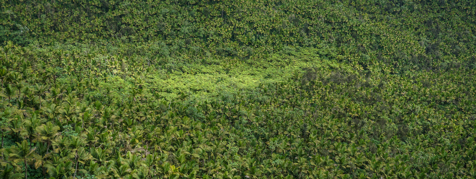 Success For IOCs In A Low-Carbon World