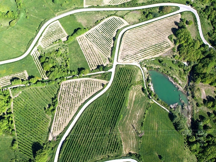 Publikationen Oliver Wyman