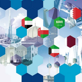 FT/Oliver Wyman Strategic Forum Adapting to a New World Order - Where Next for the GCC?