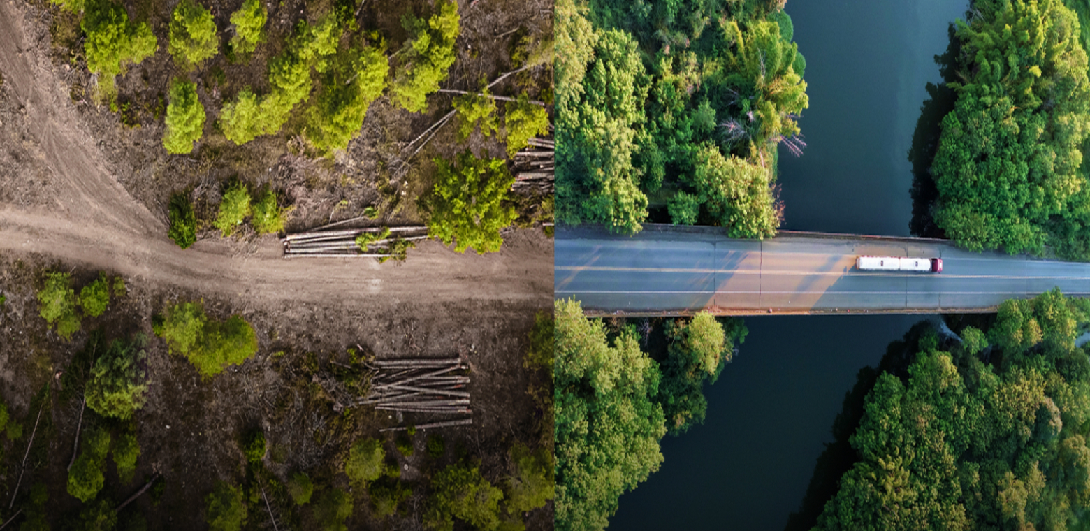 Quotient — AI By Oliver Wyman