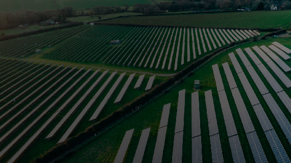 Insurance And Sustainability Opportunities For 2024