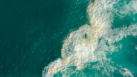 Bermuda Long-Term Insurance Sector