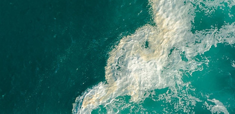 Bermuda Long-Term Insurance Sector