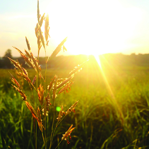 Wake up to Bank-to-Bank Payments