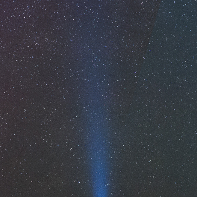 Britain’s Digital DNA