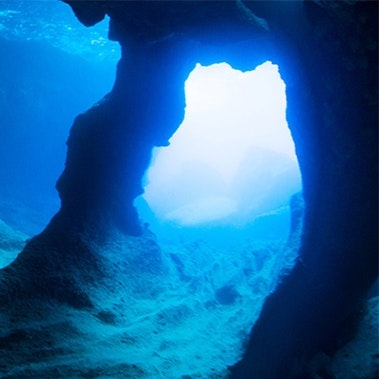 The Hidden Cost Of Reputation Risk