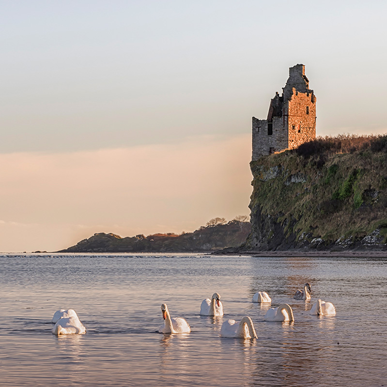 The Future Of Risk Management