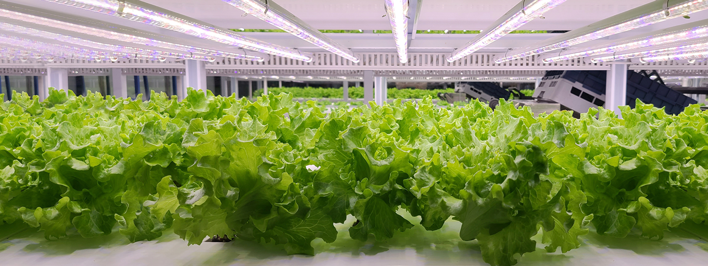 Agriculture 4.0 – The Future Of Farming Technology