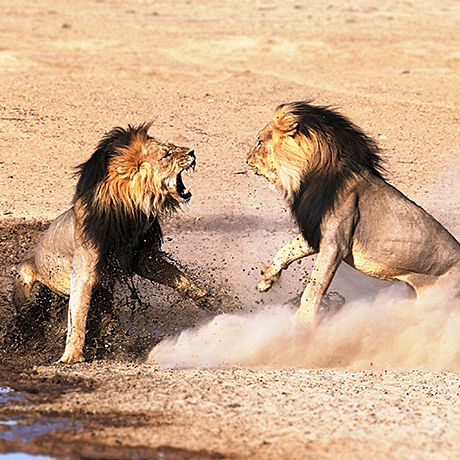 Chinese Grocery's Age Of Empires: Two Giant Groupings Are Carving Up The Market