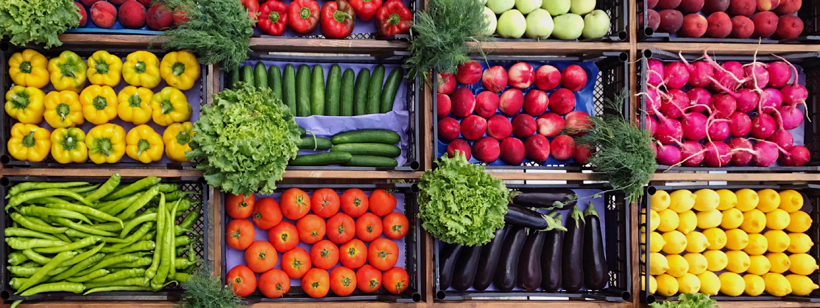 How Retail Changes When Algorithms Curate Everything We Buy