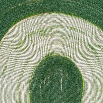 How Greenfield Can Transform Corporate Banking