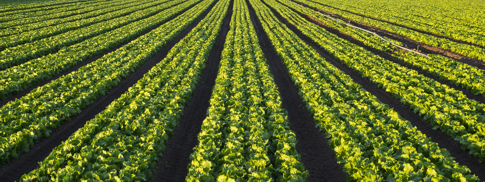 Time To Look At Costs