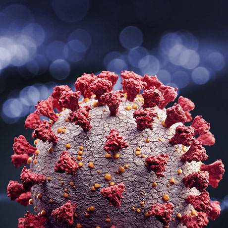 More Risks, More Unknowns