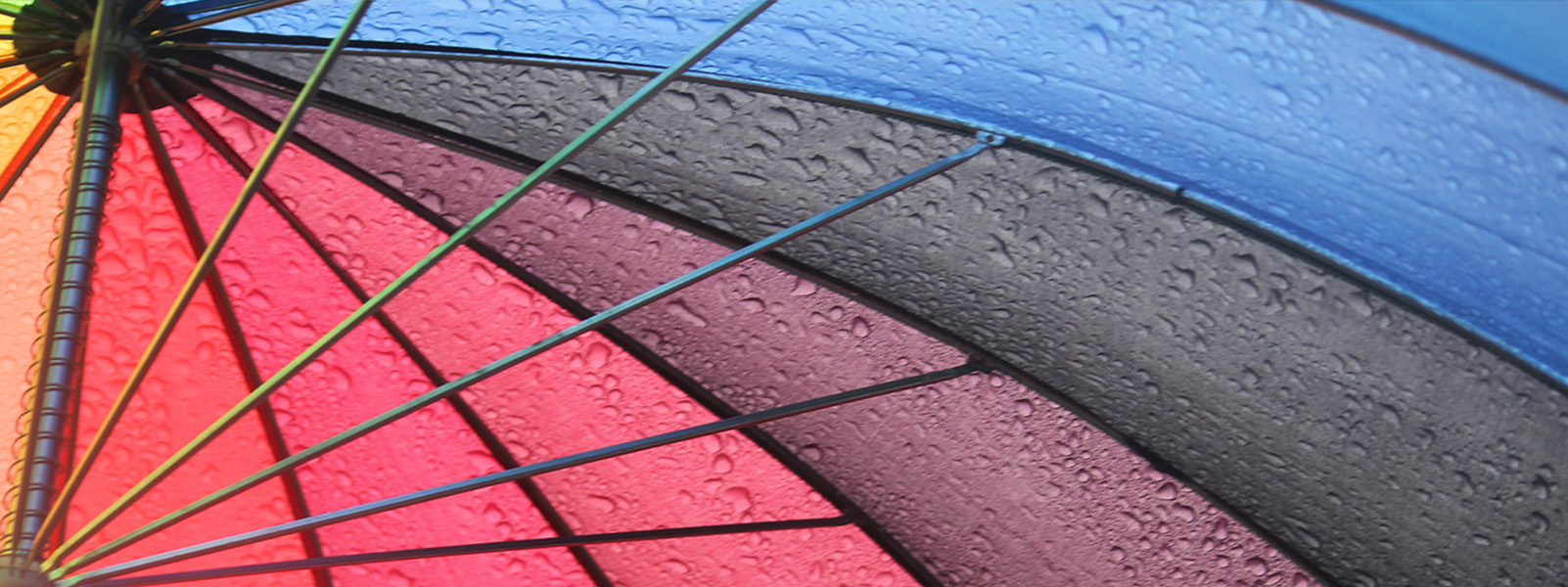 The Real Credit Crisis