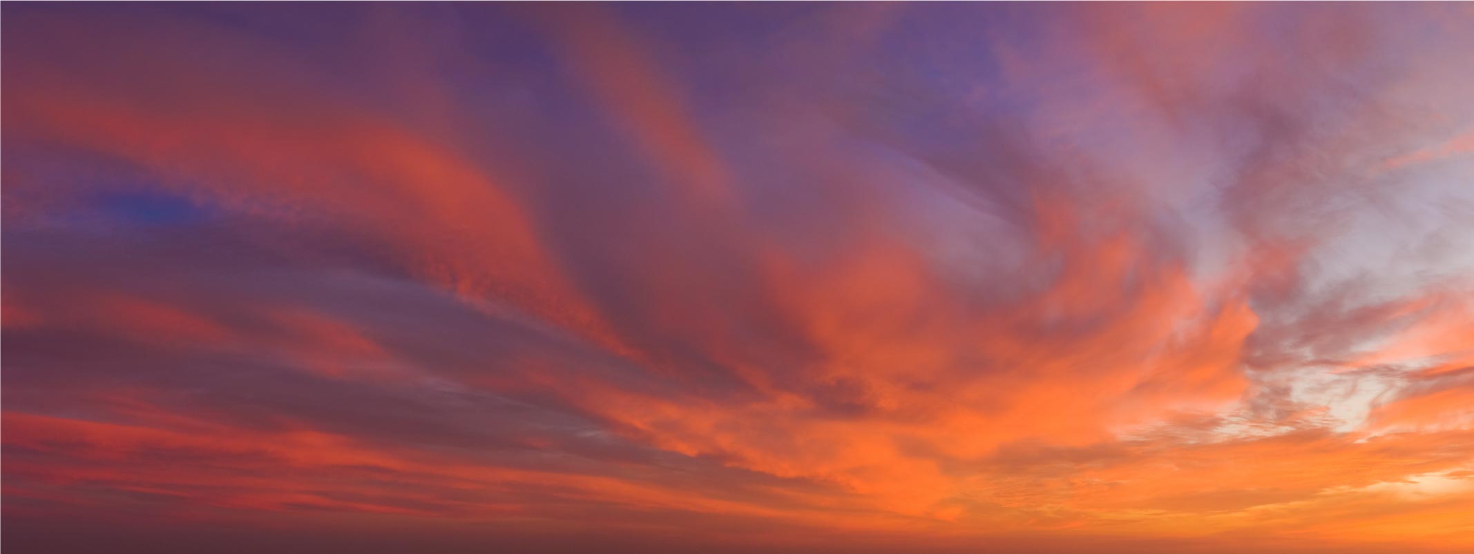 Shaping The New Normal