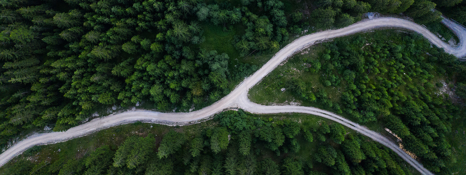 IT Services: Who Will Win When Demand Bounces Back?