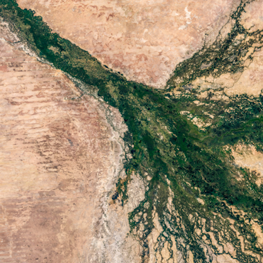 Top African Banks Embed Sustainability In Frontline Teams