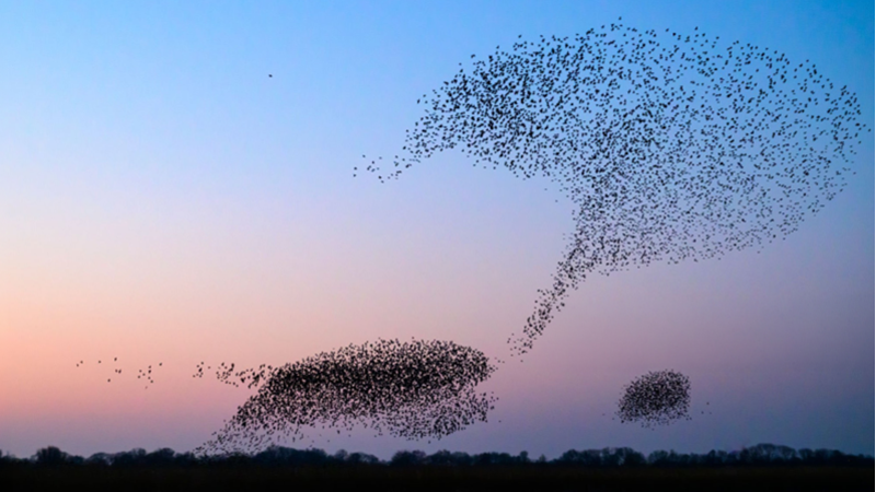 Delivering integration Alpha in M&A