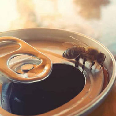 Breaking The Addiction