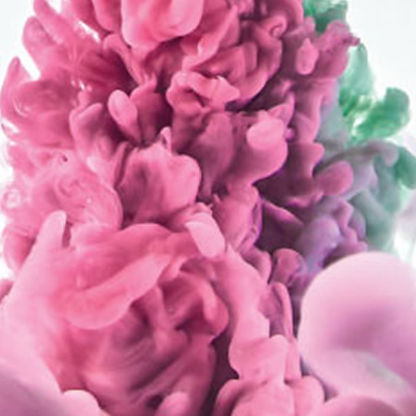 Intelligent M&A in Distribution