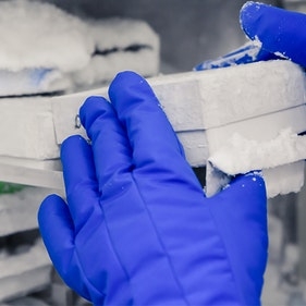 How A COVID-19 Vaccine Can Reach Billions Of People