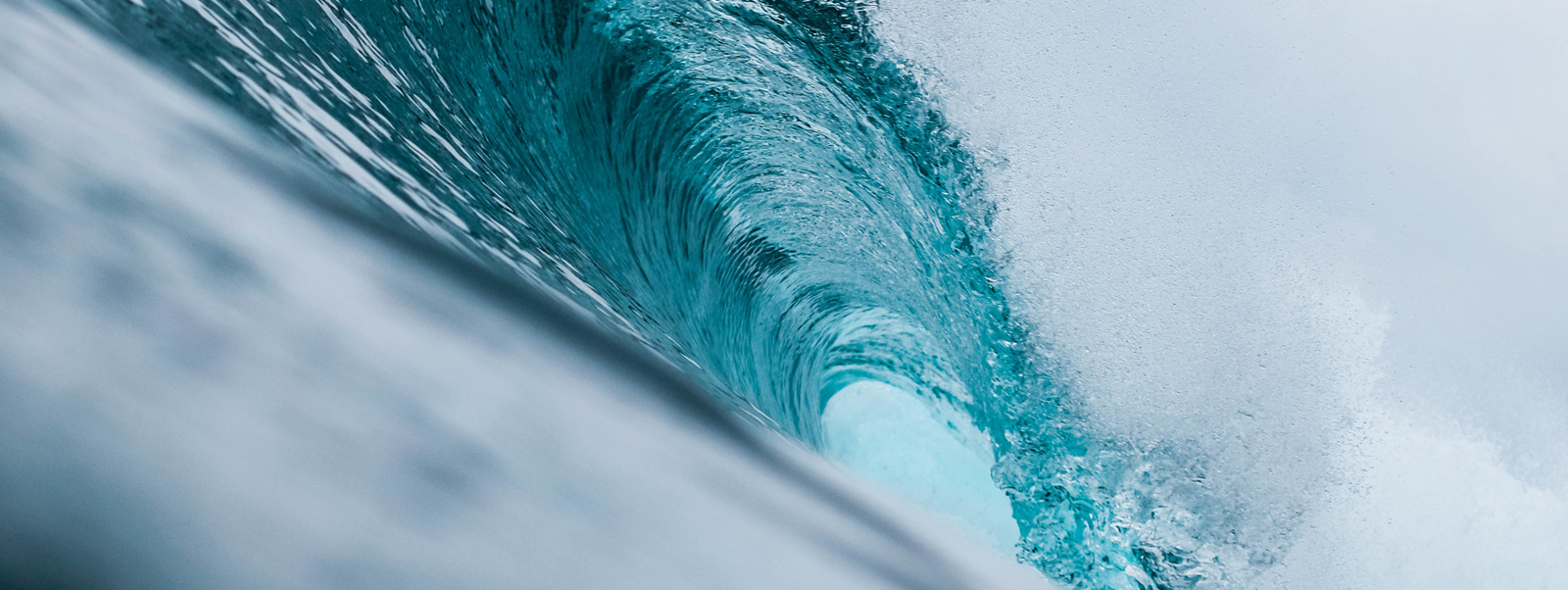 The Non-performing Loans Tsunami: A high growth segment