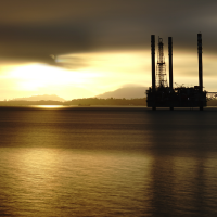 Time To Pick Your Path