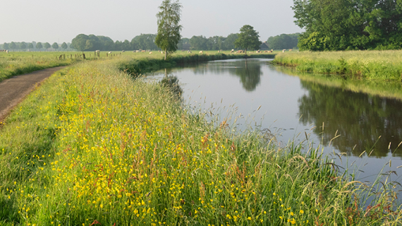 Developing The Business Case For An Archipelago In The Netherlands