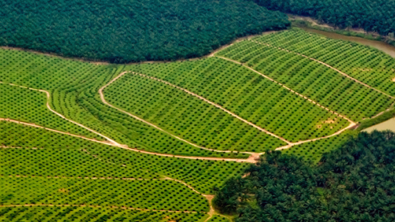 Turbo Charging The UNHCR With Carbon Financing