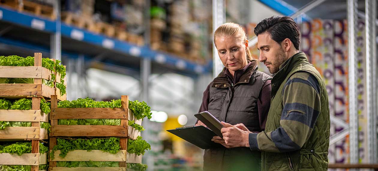 Two people checking the inventory