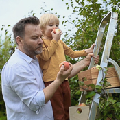 Man and child picking and eating apples off of a tree